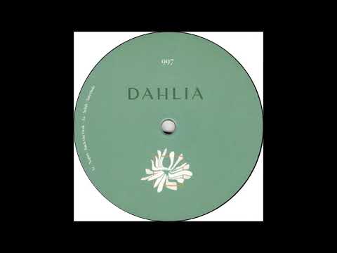 Nopax - Curve & Bend [DAHLIA997]