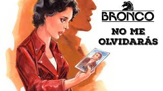 Bronco, cariño  grande