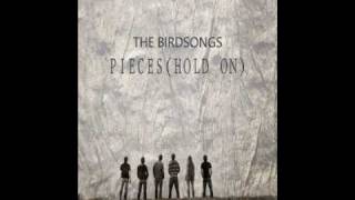 The Birdsongs - Pieces (Hold On)