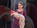 Bua Bhatiji ️ Shortvideo Like Video Bhatiji
