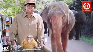 Download lagu Mithun (HD)- New Blockbuster Full Hindi Bollywood Film,  Poonam Love Story | | Main Aur Mera Haathi mp3 Download lagu Mithun (HD)- New Blockbuster Full Hindi Bollywood Film,  Poonam Love Story | | Main Aur Mera Haathi mp3