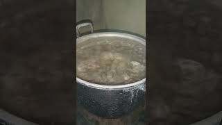 Download lagu suara Air mendidih #asmr mp3 Download lagu suara Air mendidih #asmr mp3