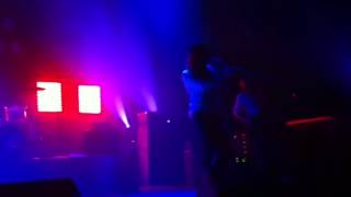 Minus the Bear-Animal Backwards