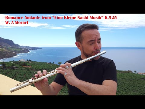 Romance Andante from “Eine Kleine Nacht Musik” K.525 (W. A. Mozart) | Miguel Guillén (Flute)
