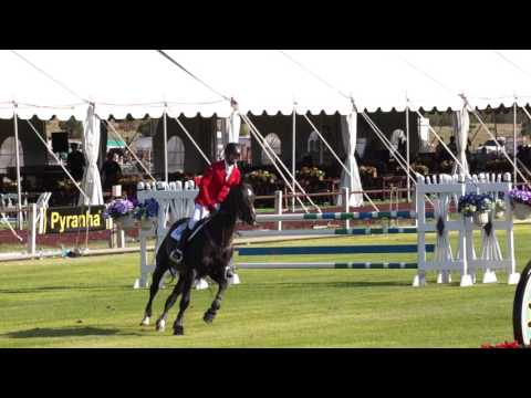 CONTENTO RC - 6 Years Old Qualifier - Hipico Santa Fe 2016 - Rancho Corazon - BDN Horses