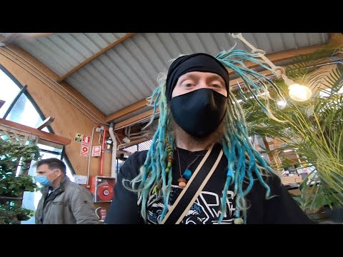 VLOG+VLOG+VLOG+VLOG+VLOG+VLOG