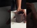 Flower Pot Dessert Shorts