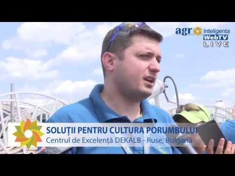 Centrul de excelență DEKALB de la Ruse, Bulgaria