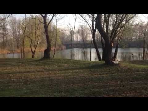 Vendita terreno di caccia