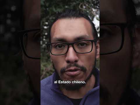 Tolten Viejo