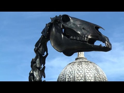 Horse skeleton statue unveiled in London's Trafalgar Square