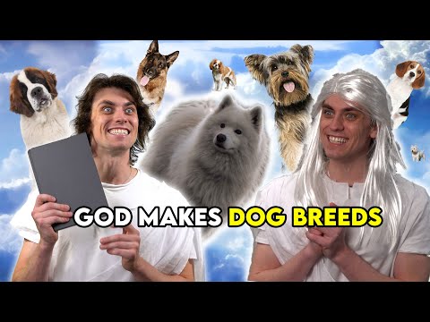 Compilation - God Makes Dog Breeds