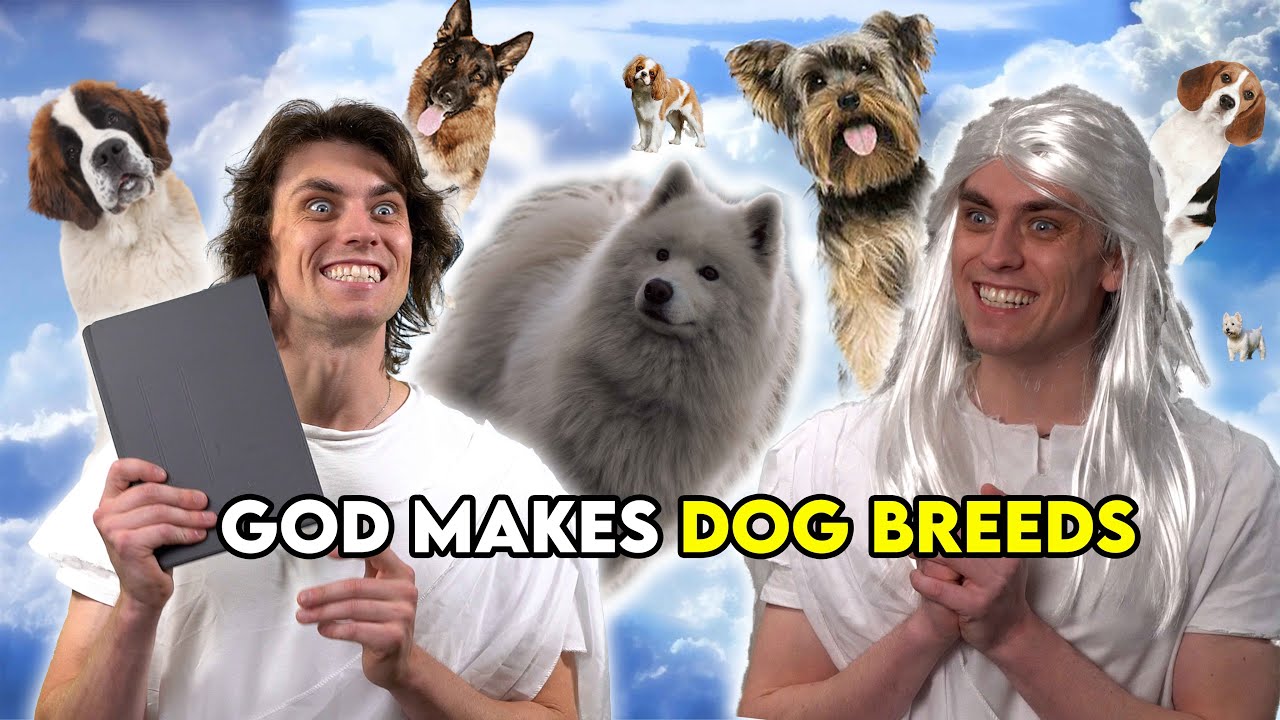 Compilation - God Makes Dog Breeds