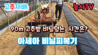 고추재배, 2021년 고추두둑 비닐피복기로 혼자 비닐 씌우기 [농사TV]