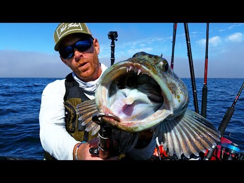 Kayak Fishing for Lingcod in Great White Country | #FieldTrips West Coast