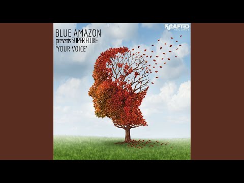 Your Voice (Zak Gee Radio Mix)