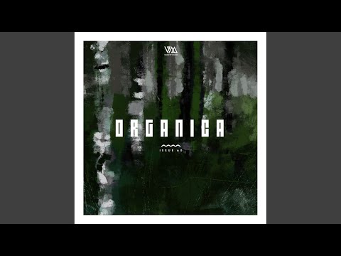 Cosmic Jungle (Original Mix)