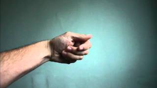 Antony and the Johnsons what can I do