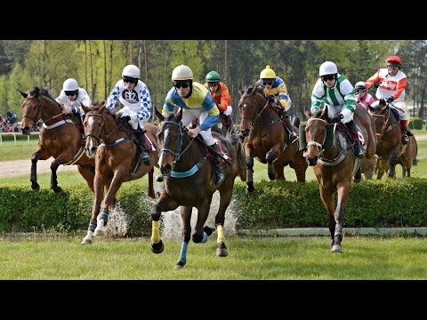 ŽIVĚ 🔴 | dostihy Lysá nad Labem – neděle 1. 5. 2022