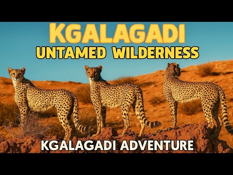 Kgalagadi Summer Adventure Trailer | South-Africa | SANParks | Wildlife & Nature | Travel Story