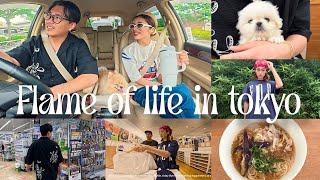 結局こういう日常がいちばん幸せ🫰🏻｜日常VLOG 📖UNIQLO/溶けマリ/仕事話/おうちそうめん#vlog