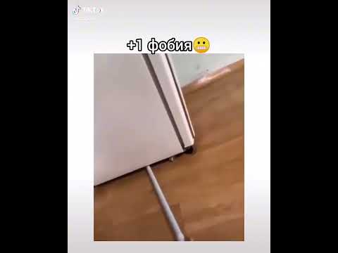 Неожиданный сюрприз)))