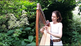 Celtic Harp Solo "A la Source" by Nadia Birkenstock (Keltische Harfe)