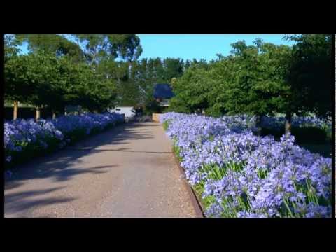 Lambley Nursery and Gardens