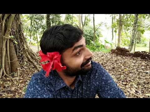 Manichithrathazhu Comedy | മണിച്ചിത്രതാഴ് | Kuthiravattam Pappu Malayalam Video