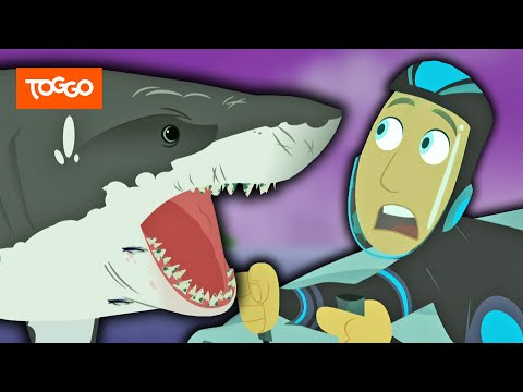 Go Wild! - Mission Wildnis | Haialarm! | Ganze Folge | TOGGO Serien