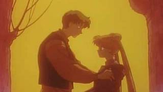 Serena and Darien AMV