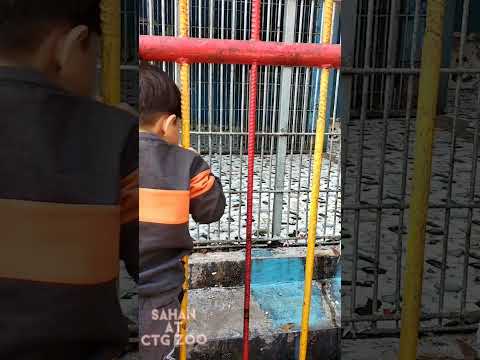 SahaN at Ctg Zoo