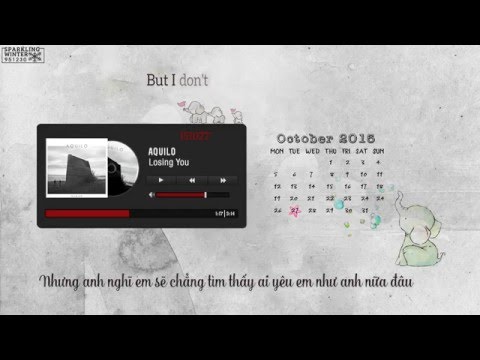 [Vietsub] Losing You - Aquilo