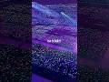 I M Sorry Don T Leave Me Bts Bts Army Shorts