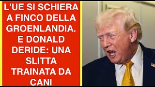 L'UE SII SCHIERA A FINCO DELLA GROENLANDIA. E DONALD DERIDE: UNA SLITTA TRAINATA DA CA...