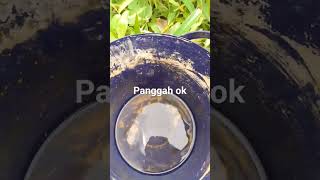 Download lagu pejuang joran melengkung👍👍 mp3