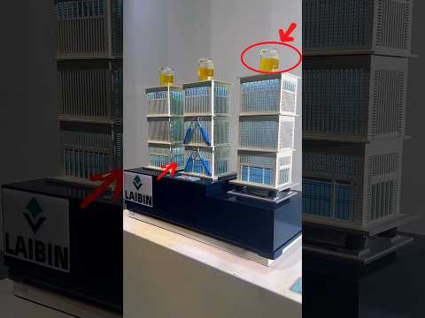 Seismic Isolation vs. No Protection – Shocking Earthquake Test!