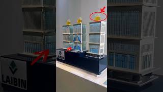 Seismic Isolation vs. No Protection – Shocking Earthquake Test!