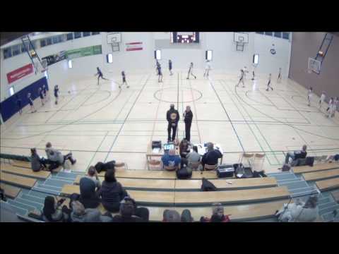 Helmi Basket - Pelikarhut