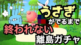 【あつ森】うさぎが出るまで終われない離島ガチャ‼︎【あつまれどうぶつの森】
