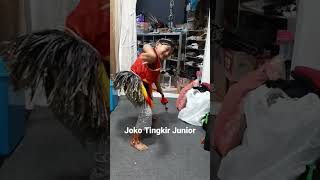 Download lagu Joko Tingkir ngombe Dawet versi si Gundol mp3
