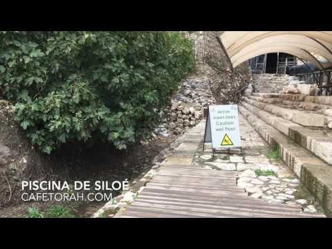 Piscina de Siloé - Programa a Bíblia Viva - Living Bible Program, Poll of Shiloach