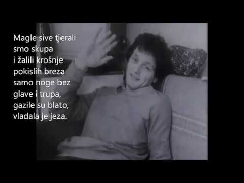 SVETOZAR P. IVETIĆ, KOŠĆATE RUKE