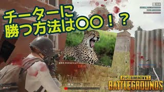 『PUBG』チーターに勝つには〇〇を使え！ #3
