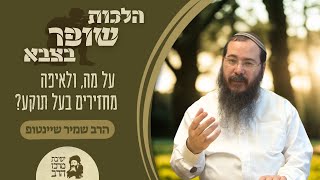 הרב שמיר שיינטופ | שופר בצבא | על מה, ולאיפה מחזירים בעל תוקע? | י"ח אלול תשפ"ה | ישיבת מרכז הרב (ישיבת מרכז הרב) - התמונה מוצגת ישירות מתוך אתר האינטרנט יוטיוב. זכויות היוצרים בתמונה שייכות ליוצרה. קישור קרדיט למקור התוכן נמצא בתוך דף הסרטון הרב שמיר שיינטופ | שופר בצבא | על מה, ולאיפה מחזירים בעל תוקע? | י"ח אלול תשפ"ה | ישיבת מרכז הרב (ישיבת מרכז הרב) - התמונה מוצגת ישירות מתוך אתר האינטרנט יוטיוב. זכויות היוצרים בתמונה שייכות ליוצרה. קישור קרדיט למקור התוכן נמצא בתוך דף הסרטון