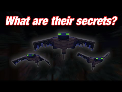The Complex Puzzle of the Wither | Deep Dive
