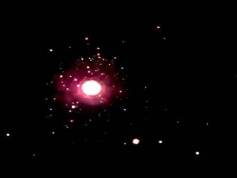 Vix Strada - Feel My Love © (Teaser) 2020