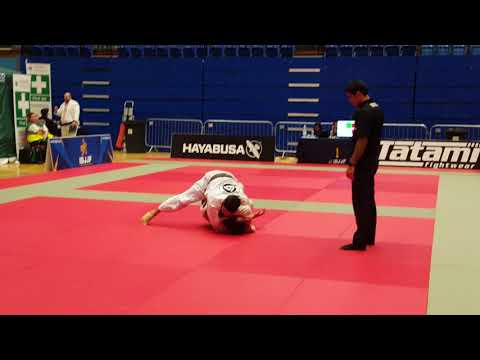 Diogo Borges vs Per Eklund - FINAL - IBJJF London Fall Open 2017 - Brown Master 1 - Open