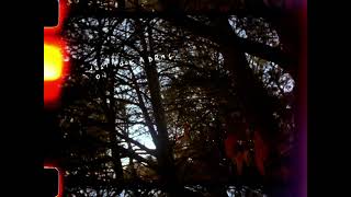 Shoot At Will Lyrics Spanish Translation