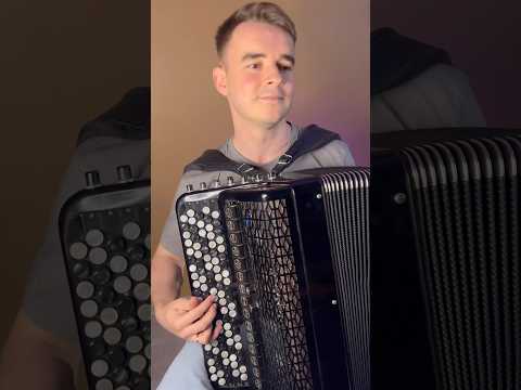 Akordeonistas vestuvėms – gyva muzika #5